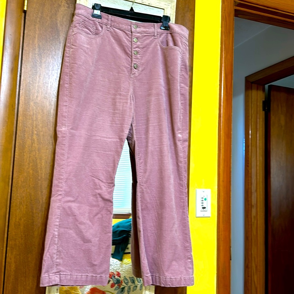 Loft Velvet Pants